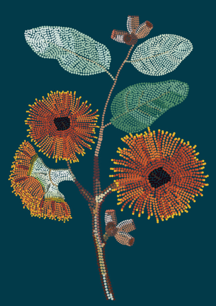 Eucalyptus – Aboriginal Art Print
