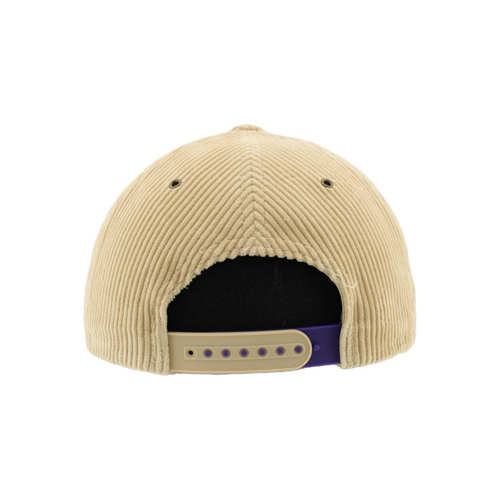 Greensboro Gargoyles Theory Warm Sand Official 3D CTN Hat