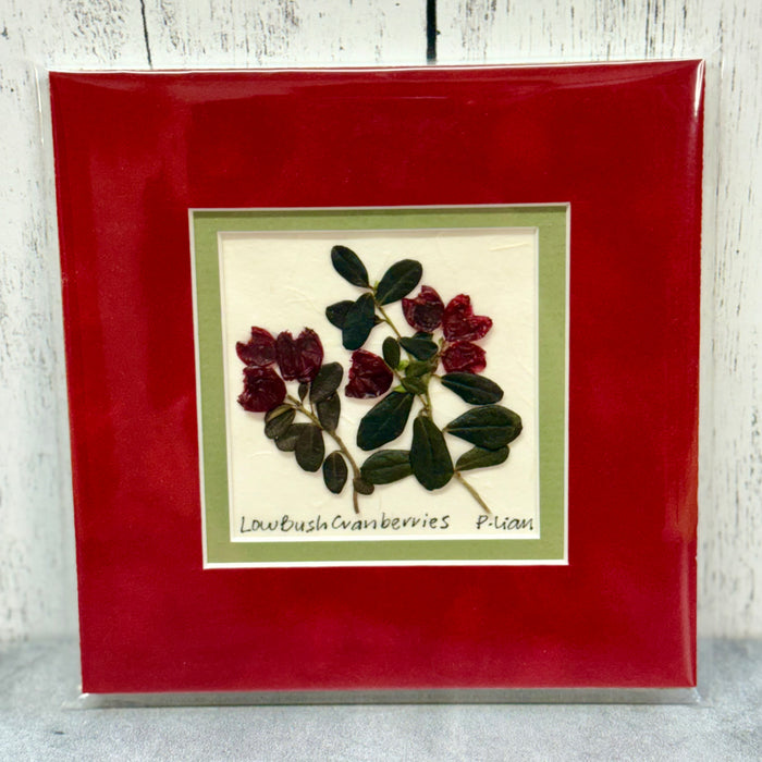 Low Bush Cranberries (8"x8" mat)