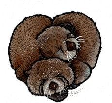 Otter Heart