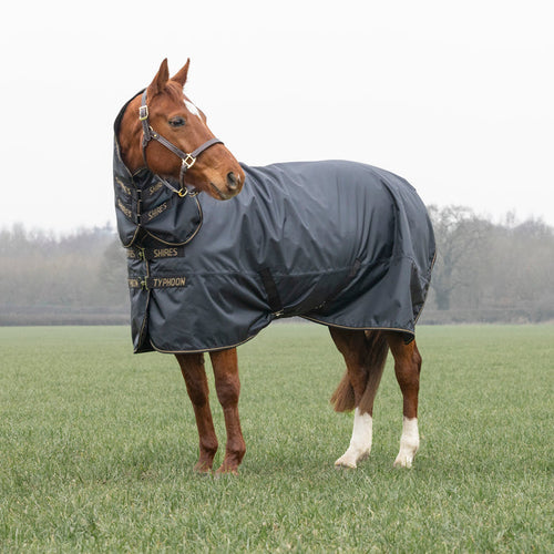 9389C - Shires Typhoon 50 Combo Turnout Rug