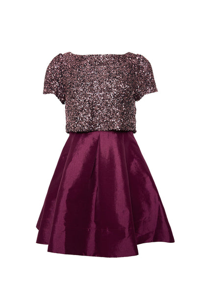 The Alexis Dress in Wine by Ivy City Co features a glittery sequin tee top and a shiny deep burgundy flared taffeta skirt, creating a chic short dress shown on a white background.