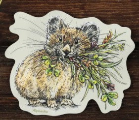 Pika