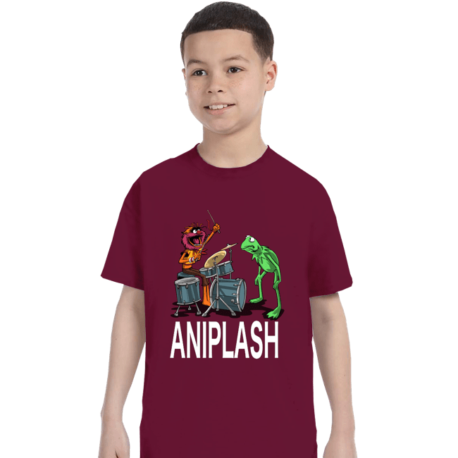 Secret_Shirts T-Shirts, Youth / XS / Maroon Aniplash