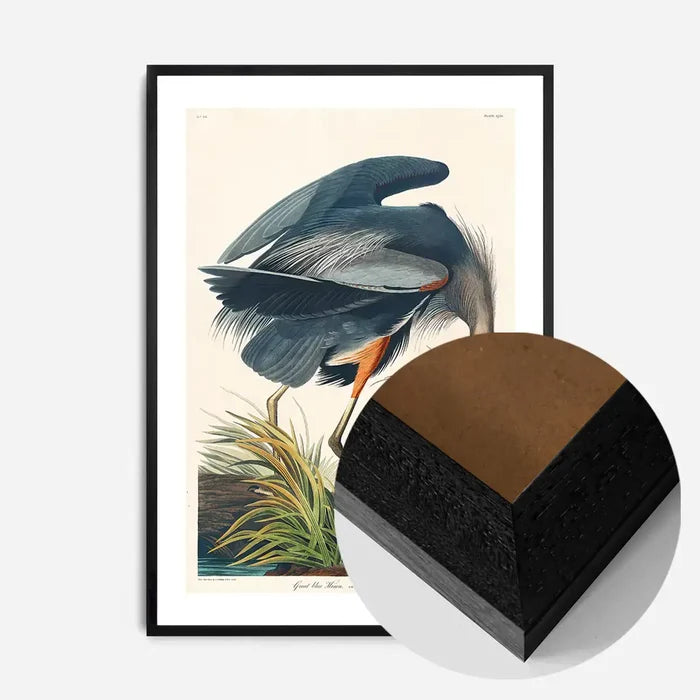 21x30cm | 8¼ x 11¾in / Black Wood Frame