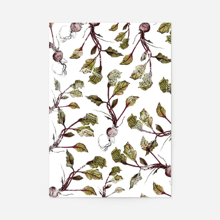 Bold botanical beetroot print on white archival art paper, featuring green leaves and purple roots.