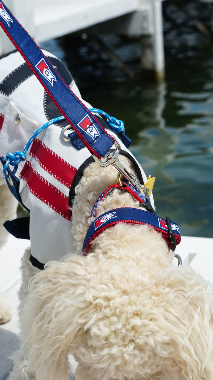 Burgee Ribbon Dog Leash