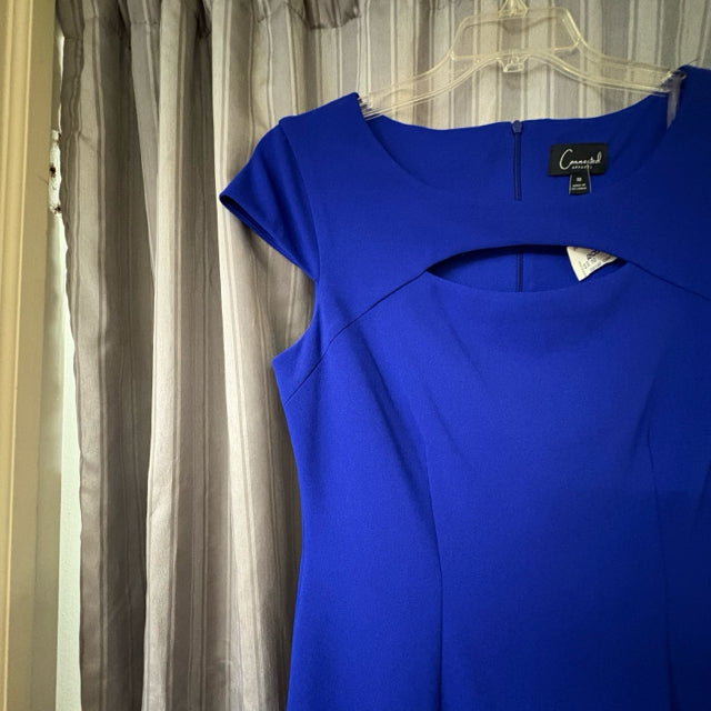 Connected SIZE 10 Women's Dress