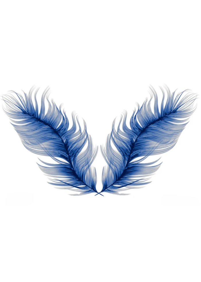 Graphic of two blue feathers