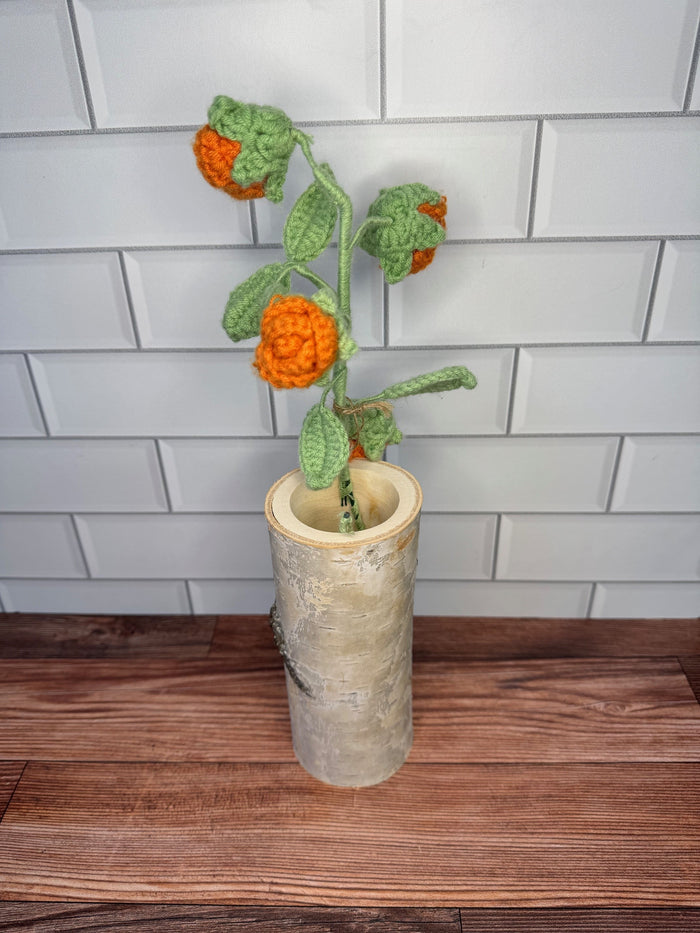 Orange Rose