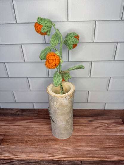 Orange Rose
