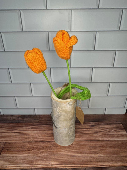 Orange Tulip