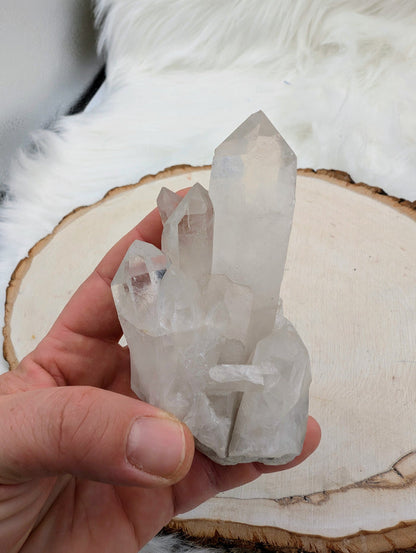 Crystal Quartz Raw Cluster - Sacramento Crystal Co.