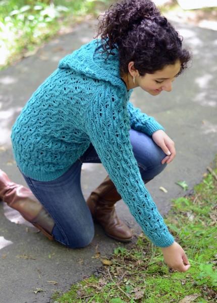Deluxe Superwash: Fall Classics Pattern Universal Yarn