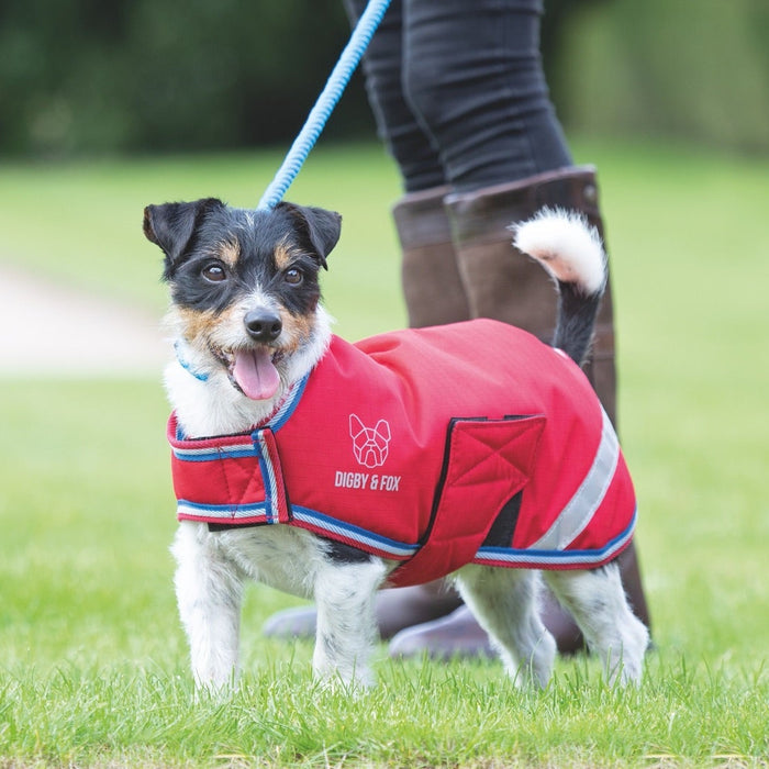 Digby & Fox Waterproof Dog Coat