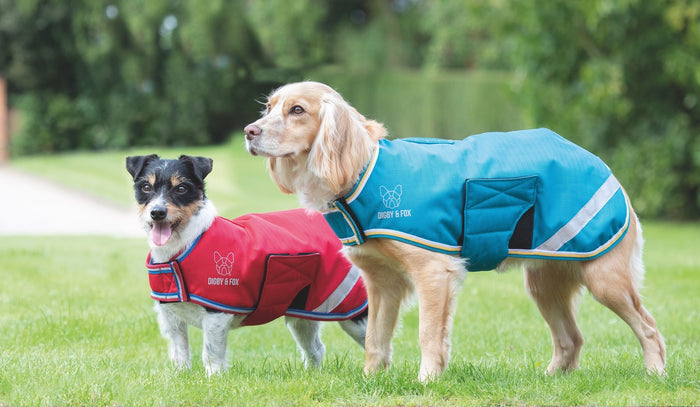 Digby & Fox Waterproof Dog Coat