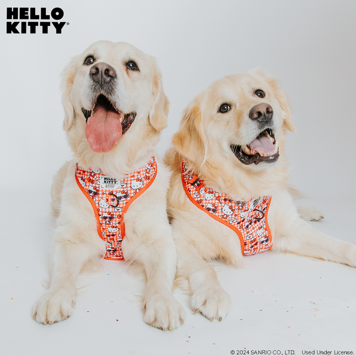 Two golden retrievers wearing Sassy Woof Dog Adjustable Harnesses - Hello Kitty® Red Classic lie together on a white background. The Hello Kitty logo appears in the top left. Both dogs look happy with their mouths open.