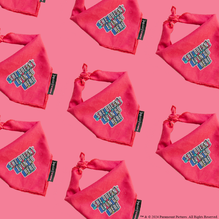 Add playful flair to your pup’s look with the Sassy Woof Dog Bandana - Mean Girls™ She Doesn’t Even Go Here, featuring a pink bandana print and bold blue and white text—perfect for any dog fashion or adjustable harness.
