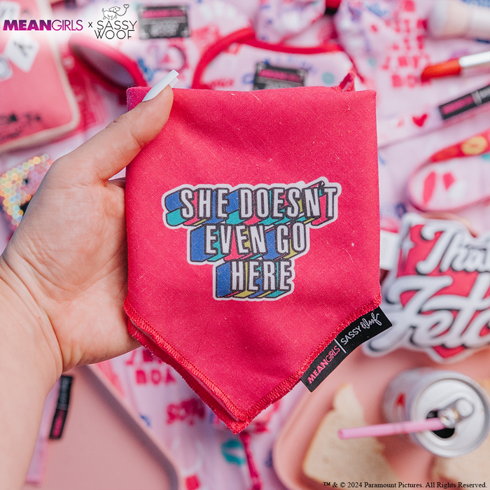 A hand holds the Sassy Woof Dog Bandana - Mean Girls™ She Doesn't Even Go Here, featuring bold, colorful lettering. The background is filled with playful pink dog accessories, cups, snacks, and more.