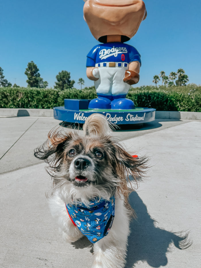 A small dog wearing a Sassy Woof Dog Bandana - MLB™ x Peanuts™ Los Angeles Dodgers™ runs toward the camera in front of a large baseball player statue at Dodger Stadium on a sunny day.