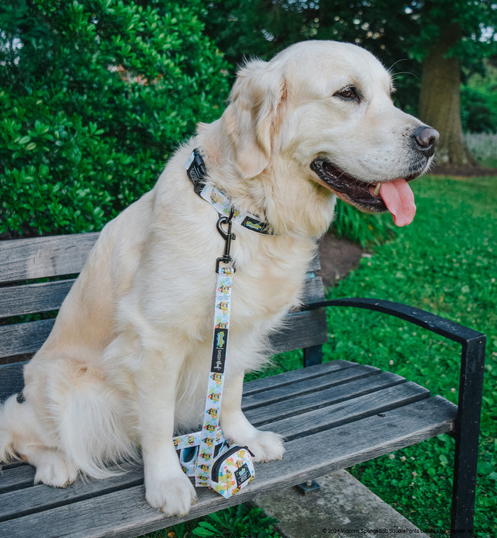 A golden retriever sits on a wooden bench outdoors, wearing the Sassy Woof Dog Collar Three Piece Bundle - SpongeBob SquarePants™ Bikini Bottom. The leash is attached to a small matching bag from the bundle featuring SpongeBob pet accessories, with green bushes and grass in the background.