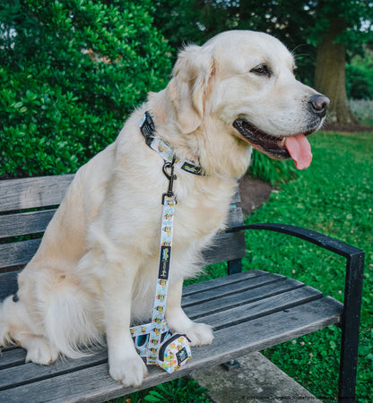 A golden retriever sits on a wooden bench outdoors, wearing the Sassy Woof Dog Collar Three Piece Bundle - SpongeBob SquarePants™ Bikini Bottom. The leash is attached to a small matching bag from the bundle featuring SpongeBob pet accessories, with green bushes and grass in the background.