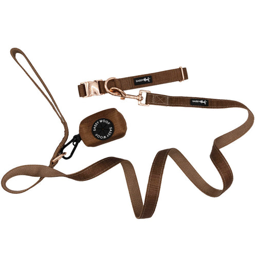Sassy Woof’s Dog Collar Three Piece Bundle - Teddy features a brown collar and matching leash from the Teddy Collection, both adorned with rose gold-colored metal buckles. The bundle also includes a round black tag embossed with “Sassy Woof.” The slightly coiled leash comes with a comfortable loop handle.
