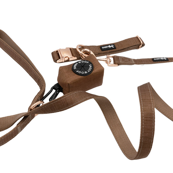 Sassy Woof Dog Collar Three Piece Bundle from the Teddy Collection, featuring a brown design with a metal clasp and a compass-shaped Sassy Woof tag, displayed on a white background.