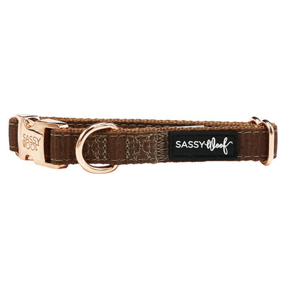 A Dog Collar Three Piece Bundle - Teddy by Sassy Woof, featuring brown material with gold hardware, a D-ring, and a black "SASSY Woof" label in white text, is displayed on a white background.