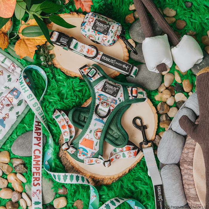 The Sassy Woof Dog Four Piece Bundle - Peanuts™ Beagle Scouts, featuring “Happy Campers” text and camping graphics, is displayed on wood slices and faux grass, surrounded by plush toys, stones, and leaves.
