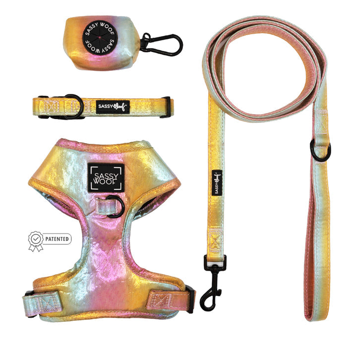 The Sassy Woof Dog Four Piece Bundle - The Night Life includes an adjustable harness, collar, leash, and waste bag holder with a shiny multicolor finish and black hardware, all shown on a white background.