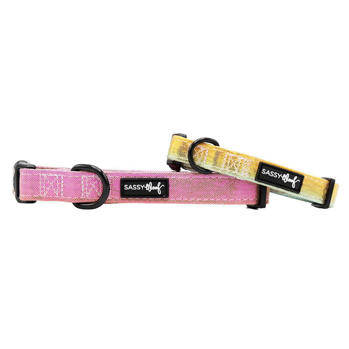 The Dog Four Piece Bundle - The Night Life by Sassy Woof includes two adjustable collars (pink, yellow) with black plastic buckles, black metal rings, and logo tags—ideal to pair with your favorite harness for growing pups.