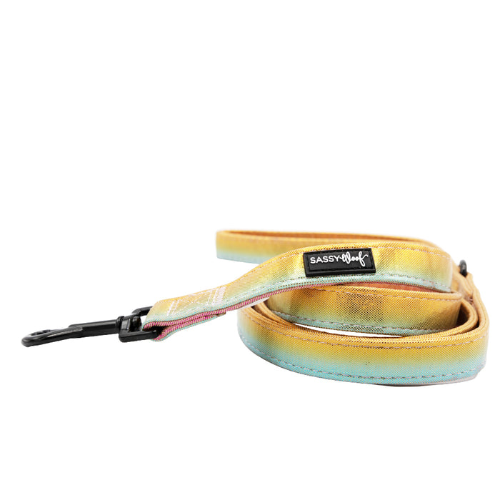 The Sassy Woof Dog Four Piece Bundle - The Night Life features a multicolored, fade-effect leash with yellow, blue, and orange tones, black metal clip, and logo patch—coiled for display beside a matching disco harness on a white background.