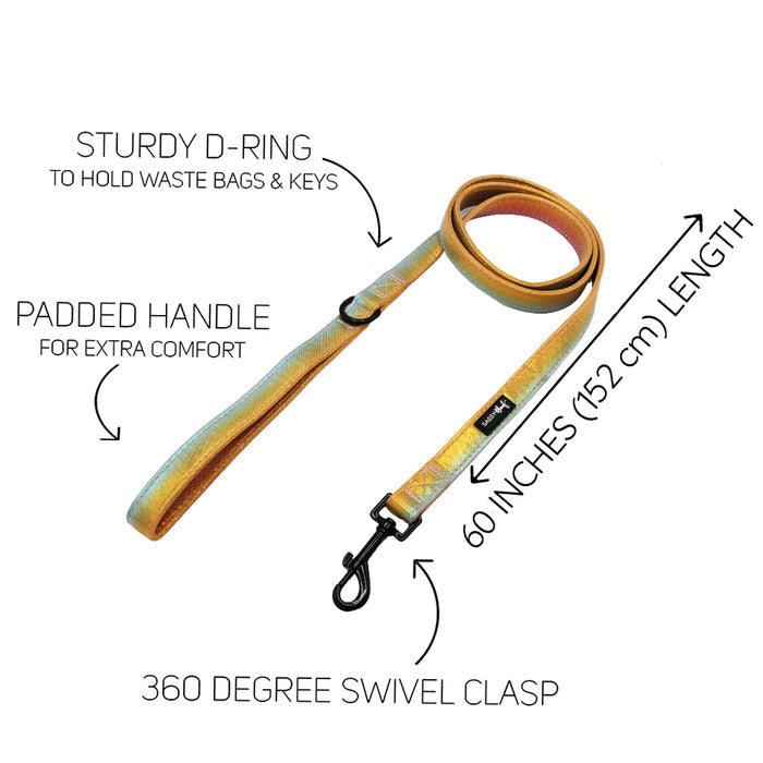 The Sassy Woof Dog Four Piece Bundle - The Night Life features a yellow and blue leash with a sturdy D-ring for bags/keys, padded handle, 60" (152cm) length, 360° swivel clasp, and pairs perfectly with the adjustable dog harness.
