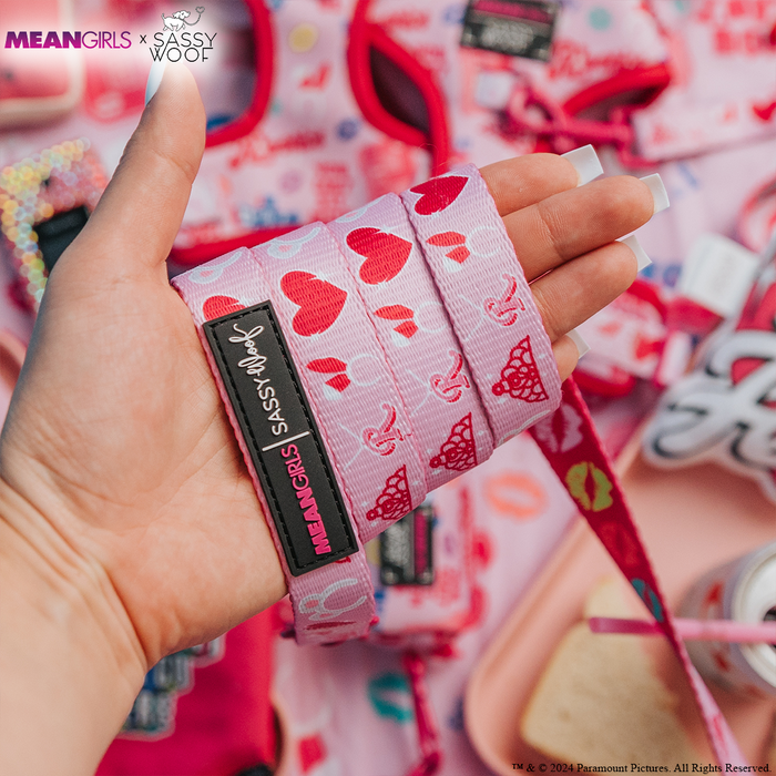 A hand holds the Dog Leash - Mean Girls™ by Sassy Woof, featuring pink hearts and lips designs. Black labels show MEAN GIRLS and SASSY WOOF. Matching pink, heart-themed dog accessories appear blurred in the background.