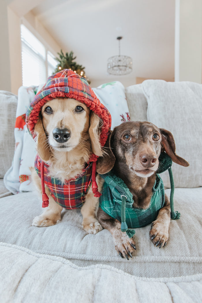 INFLUENCER_CONTENT | @MAYATHEDOX & @WINSTONTHEDOX | SIZE M