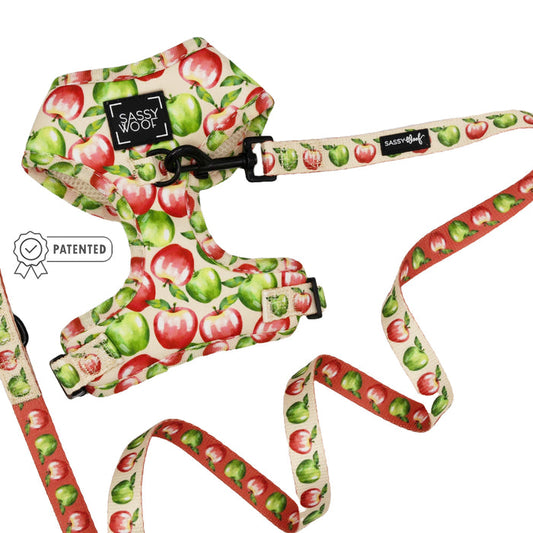 The Sassy Woof Dog Two Piece Bundle - Apple of My Eye includes a stylish leash and adjustable harness with vibrant apple designs, perfect for fashionable walks.