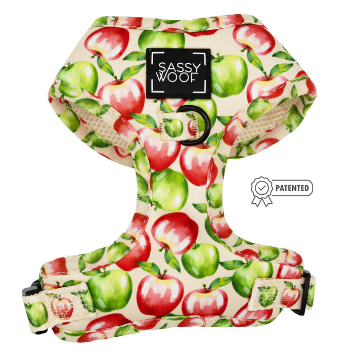 The Sassy Woof Dog Two Piece Bundle – Apple of My Eye features a red and green apple pattern, beige trim, black adjustable buckles, a front D-ring with Sassy Woof label, and offers comfort and security in an adjustable design.