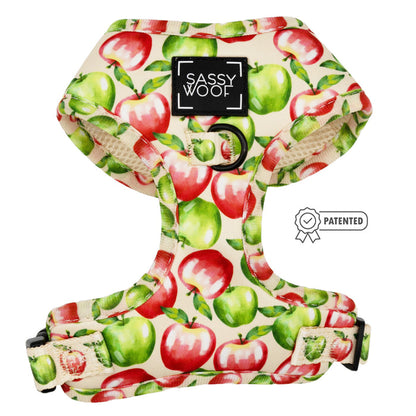 The Sassy Woof Dog Two Piece Bundle – Apple of My Eye features a red and green apple pattern, beige trim, black adjustable buckles, a front D-ring with Sassy Woof label, and offers comfort and security in an adjustable design.