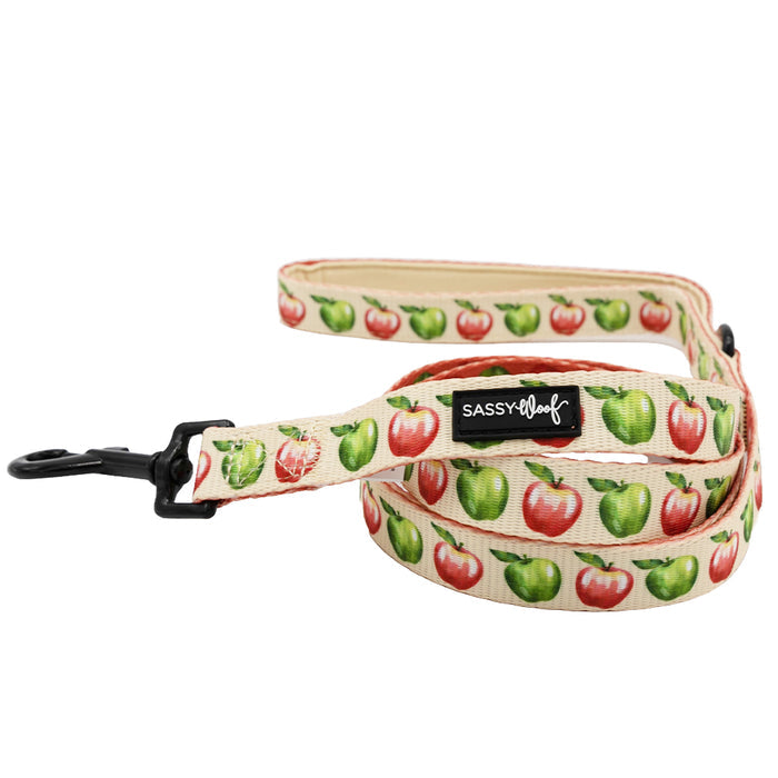 A close-up of the Dog Two Piece Bundle - Apple of My Eye by Sassy Woof, designed to pair perfectly with your adjustable harness.