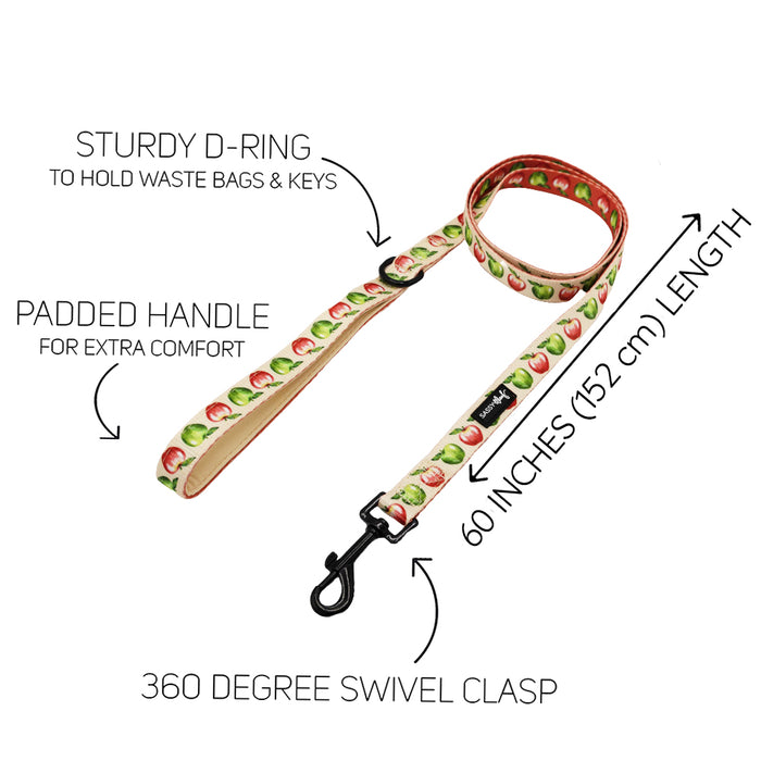 The Sassy Woof Dog Two Piece Bundle - Apple of My Eye features a watermelon-patterned leash with sturdy D-ring, padded handle, 60" length, and 360° swivel clasp. Labels with arrows highlight each feature for easy reference.