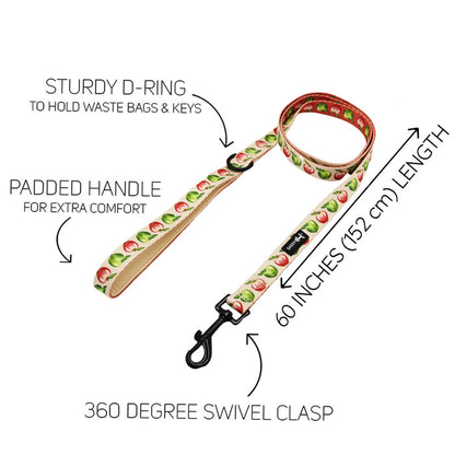 The Sassy Woof Dog Two Piece Bundle - Apple of My Eye features a watermelon-patterned leash with sturdy D-ring, padded handle, 60" length, and 360° swivel clasp. Labels with arrows highlight each feature for easy reference.