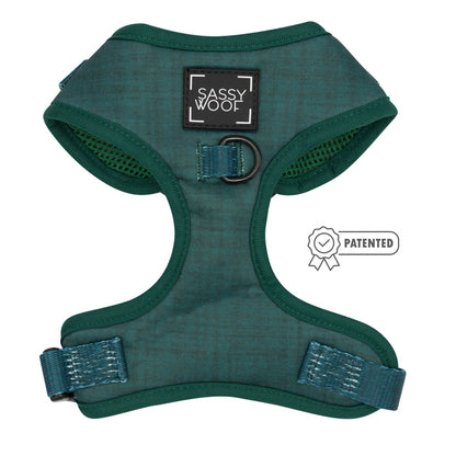 The Sassy Woof Dog Two Piece Bundle - Forest features a teal adjustable harness with a black label, metal D-ring, and straps for the perfect fit. Patented badge icon. Ideal for leash training or puppy growth pawtection plan.