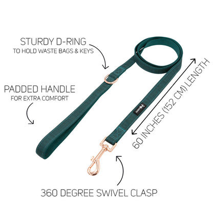 The Sassy Woof Dog Two Piece Bundle - Forest features a green leash with a sturdy D-ring for bags or keys, padded handle, adjustable harness compatibility, 60-inch (152 cm) length, and a 360° swivel clasp.