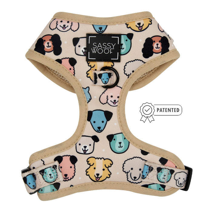 The Dog Two Piece Bundle - Mixed With Love by Sassy Woof features a beige adjustable harness with playful cartoon dog faces, beige trim, a chest Sassy Woof label, and patented buckles. Ideal for pups on the Puppy Growth Pawtection Plan.