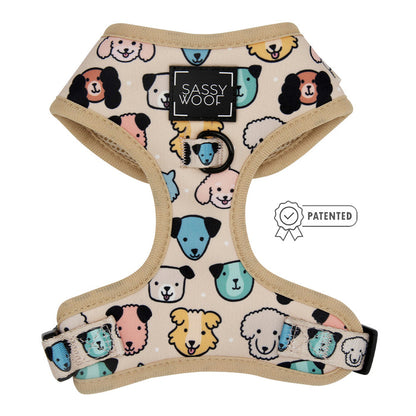 The Dog Two Piece Bundle - Mixed With Love by Sassy Woof features a beige adjustable harness with playful cartoon dog faces, beige trim, a chest Sassy Woof label, and patented buckles. Ideal for pups on the Puppy Growth Pawtection Plan.