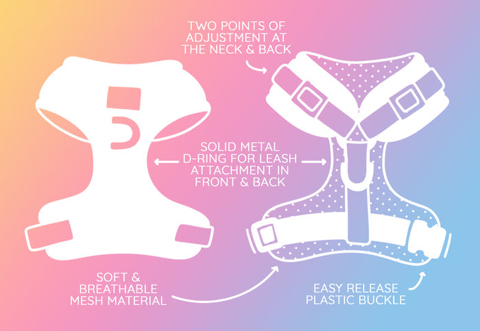 Illustration of the Sassy Woof Dog Two Piece Bundle - Polly Pocket™, featuring adjustable neck and back straps, solid metal D-rings, an easy-release buckle, and soft breathable mesh on a pastel background.