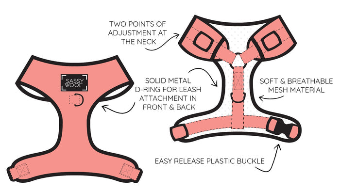 Illustration of the Sassy Woof Dog Two Piece Bundle - MLB™ x Peanuts™ Atlanta Braves™ harness with two neck adjustment points, solid metal front and back D-rings, soft breathable mesh, and easy-release plastic buckle—ideal for baseball-loving dog owners.