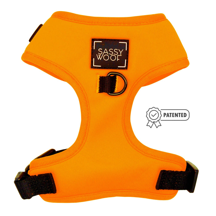 The Sassy Woof Dog Two Piece Bundle in Neon Orange has black adjustable straps, a logo patch on the chest, and a metal D-ring for leash attachment—perfect for your puppy’s growth plan.