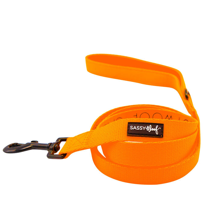 The Sassy Woof Dog Two Piece Bundle in Neon Orange features a bright orange leash with a black metal clip, loop handle, and SASSY WOOF label. Pair it with the matching neon dog harness for extra style.